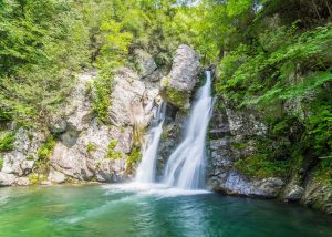 Photo of bash bish falls, two falls flowing into a green pool surrounded by lush greenery